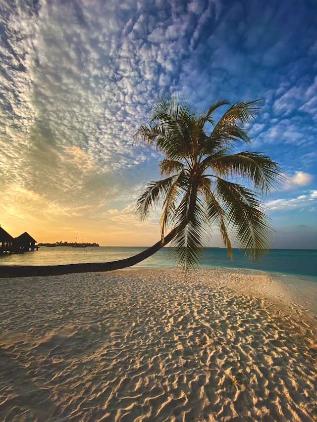 Beaches