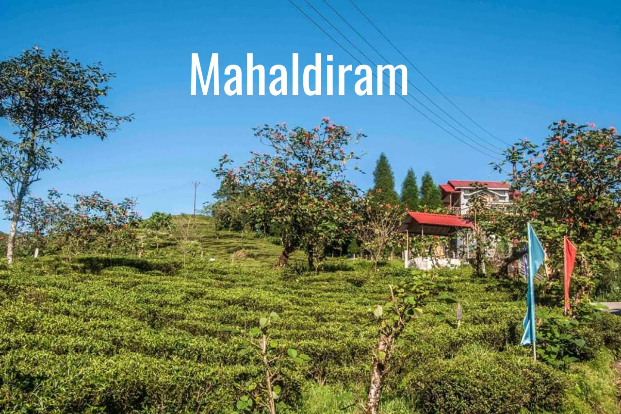 Mahaldiram, darjeeling