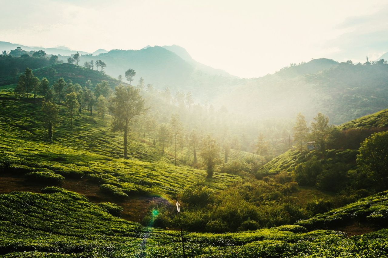 Wayanad